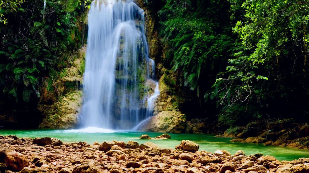 El Limón: Wasserfalltour mit Mittagessen - Samana